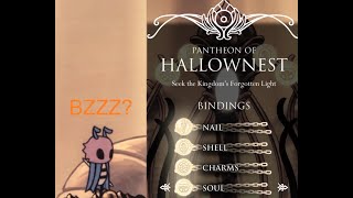 Hollow Knight - Pantheon 5 with All Bindings (Hive Knight edition)