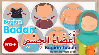 Belajar nama bagian tubuh dalam bahasa arab - seri 3  (bagian badan)