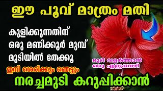 ചെമ്പരത്തി പൂവ് ഇങ്ങനെ ചെയ്താൽ /മുടി പനംകുലപോലെ വളർത്തിയെടുക്കാം /chembarathi thali/poppy vlogs