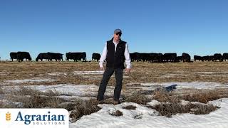 Agrarian Solutions Select BioCycle Beef Video