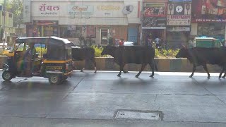 Arrival in Mumbai - India