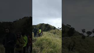 Summit Merbabu View Merapi #shorts