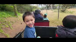 Ride Little Puffer Train at San Francisco Zoo!