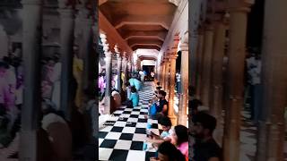 श्री राधा रानी मंदिर varshana #krishna #radheradhe #govinda #bhakti #bhajan #shorts ❤️❤️