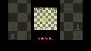 Checkmate with castle#chess #chessmeme #lichess #chess.com #checkmate #chessbaseindia#kingsacrifice