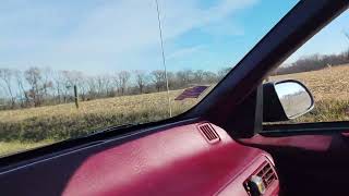 Nearly hit some Iowa White tail deer