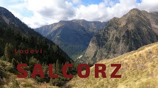 SALCORZ - Lodevi