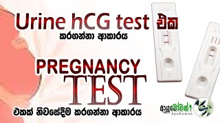 Urine hCG test එක කරගන්නා ආකාරය |Pregnancy test එකක් නිවසේදීම කරගන්නා ආකාරය| MLT Anushika Perera