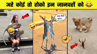 🤣😜 इन जानवरों से पंगा ना बाबा ना | Funny Animal Videos 2023 - Part 9