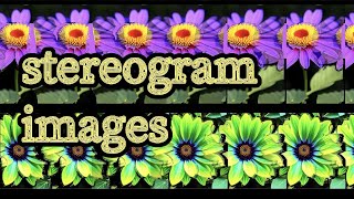 STEREOGRAM IMAGES, magic eye pictures of flower, parallel view