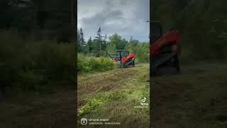 Mulching away ! #kubota #mulching #mulcher #skidsteer #forestrymulching