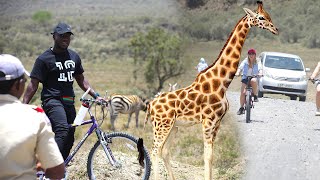 Immersive experience at Kenya's Hell's Gate National Park