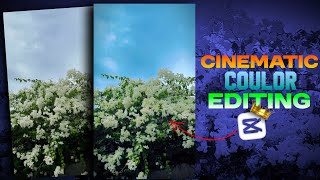 Cinematic Colour Grading Editing | Cinematic Colour Edit | @Round2hell @BKingEdit420 #editing