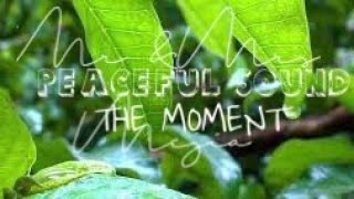 RELAXING MUSIC | THE MOMENT #Pampatulog #RelaxationSounds