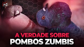 POMBOS ZUMBIS O NOVO VÍRUS - ENTENDA TUDO!