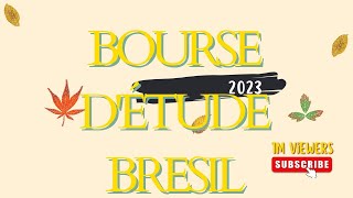 BOURSE D'ÉTUDE 2023 BRÉSIL/SCHOLARSHIP Gratuit