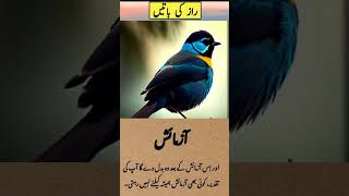 Life Changing Quotes In Urdu | Amazing Poetry #Shorts #viral