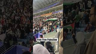 Free free Palestine  crowed #2024 #asiancup2024 #qatar