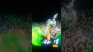 Palmeiras Campeão... para Yuji lembrar.