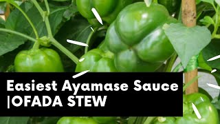 From the Farm to the Dinning Table How to Make the Most Easiest AYAMASE sauce and OFADA Rice