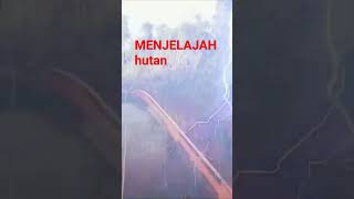 Petualangan menjelajah hutan/penuh misteri#shorts#pecintaalam #shortsfeed