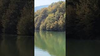 Divljansko Lake 🇷🇸 #shortsfeed #lake  #shortvideo