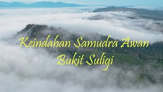 Samudra Awan Bukit Suligi, Rokan Hulu