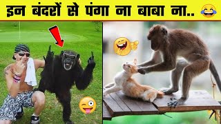 Funny Animal Moment caught on camera 😂 Funny Monkey Videos 😝 Funny Videos