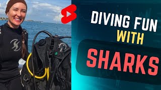 SCUBA DIVING WITH SHARKS IN MEXICO #shorts