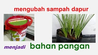 MENGUBAH SAMPAH DAPUR MENJADI BAHAN PANGAN (seri 1)