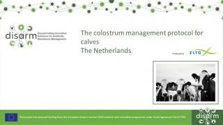 Colostrum management protocol for calves