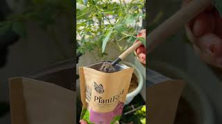 Unboxing new fertiliser from PlantFood! #gardening #garden #minigarden #urbanfarming