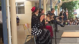 Colegio San Rafael Presentación Flamenco 8/8