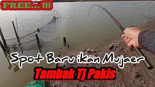 Mancing Jaer || Tangan Ampe Pegel-pegel Lurd!!