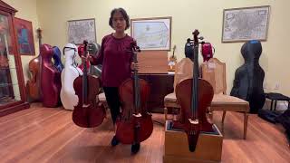 Sizing Your Cello