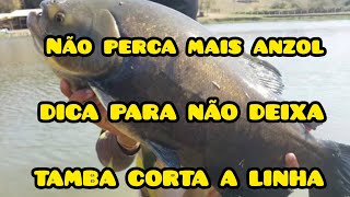 Não perca mais anzol ! Dica para os peixe não corta sua linha !!! #dica #pescador #pescaria