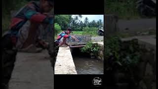 Mancing di selokan pinggir jalan dapat ikan besar #shorts #microfishing #mancingnila #nilababon