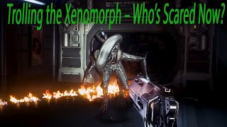 Trolling the Xenomorph – Who’s Scared Now? | Alien: Isolation