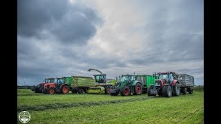 Feldgras häckseln // Claas Jaguar 830 , Fendt , Case , Kubota