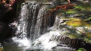 Waterfalls Along the Long Path on Burnt Hill