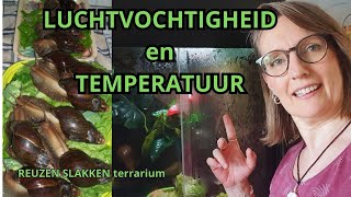 VOORKOM ELLENDE! Temperatuur en Luchtvochtigheid Reuzenslakken terrarium