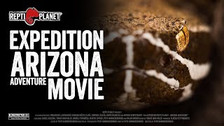 Reptiles and Amphibians of Arizona (Expedition REPTI PLANET - Arizona Adventure) EN subtitles