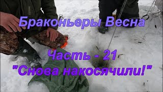 Браконьеры. Весна. Часть - 21 "Снова накосячили!"