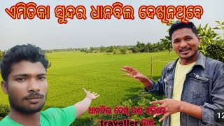 ଏମିତିକା ସୁନ୍ଦର ଧାନବିଲ ଦେଖିନଥିବେ /INDIA RICE TERRACES/Bapi lifestyle new vlog