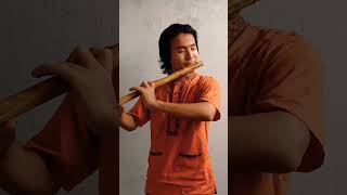 flute stroke #flute #music #shorts