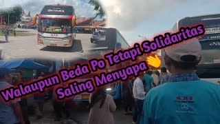 Salut Lihat Solidaritas Sama Sopir bus Ini!!!. Ans Dan Npm Mendominasi Masuk siang Di Terminal Solok