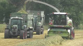 Fendt Vario 724 mir Krone EasyCut  Mähkombinationen beim Mähen von Triticale mit Schwad   Ablage Jun