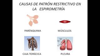 LABORATORIO PATRONES RESTRICTIVOS     2