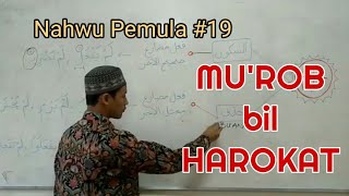 BELAJAR NAHWU - Untuk Pemula #19 (Mu'rob bil Harokat)