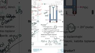 12.sınıf güncel meb kazanım kavrama testi 14 2024 DETAYLI ANLATIM